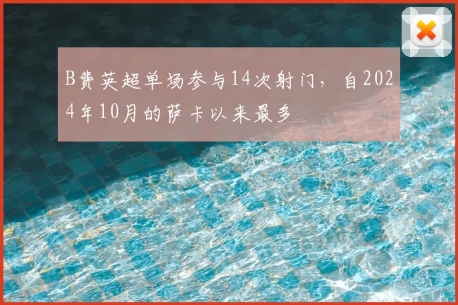 B费英超单场参与14次射门，自2024年10月的萨卡以来最多